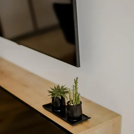 Apartman Metkovic City Metković